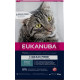 Eukanuba Adult mit Lachs getreidefreies Katzenfutter