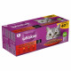 Whiskas 1+  Classic Selection in Sauce Multipack (40 x 85 g)
