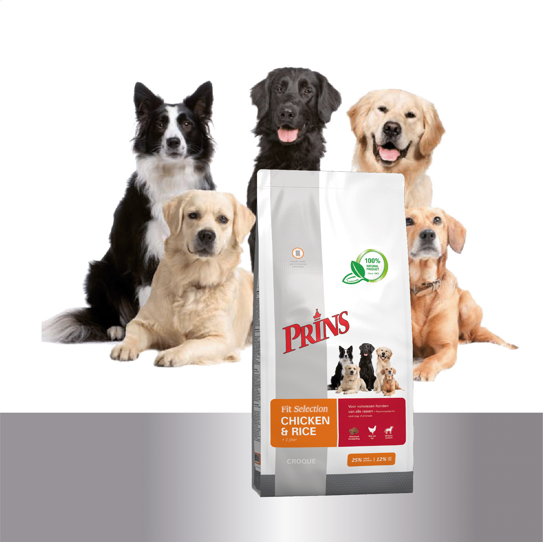 Prins Fit Selection Huhn & Reis Hundefutter