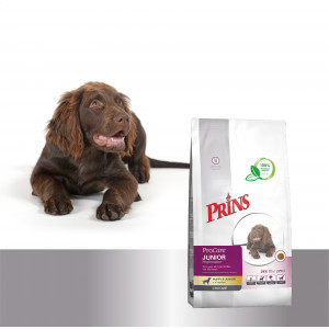 Prins ProCare Croque Junior Performance Hundefutter