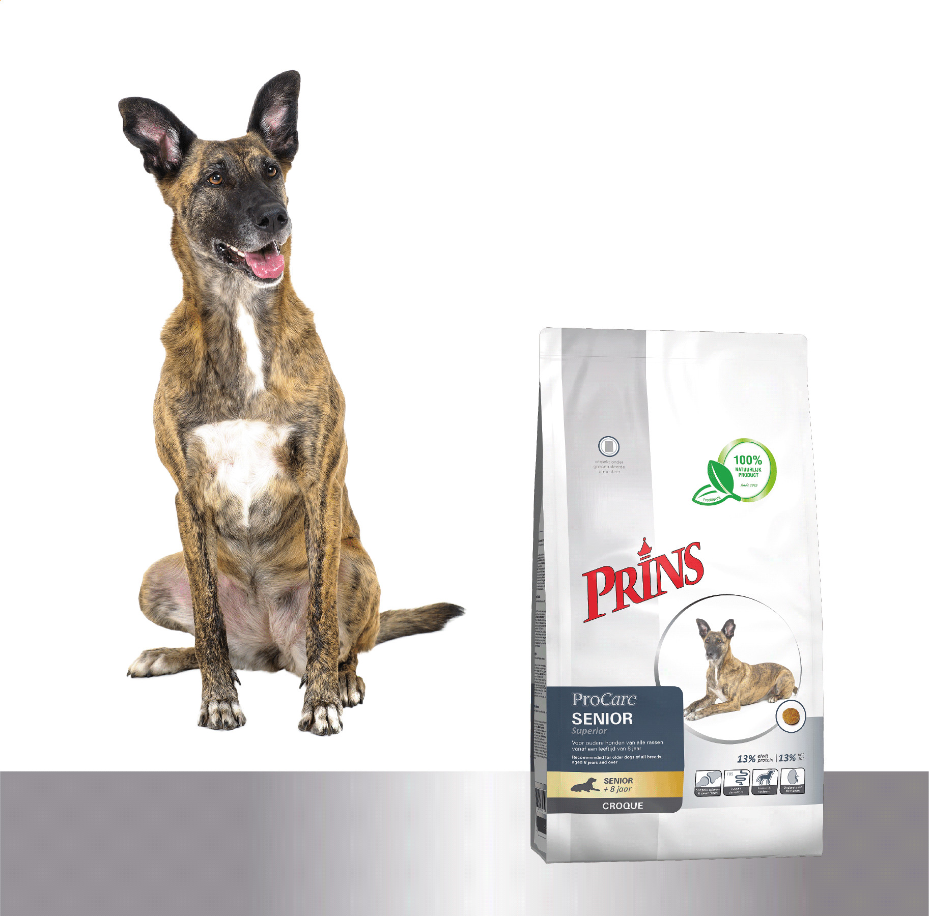 Prins ProCare Croque Senior Superior Hundefutter