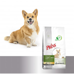 Prins ProCare Croque Lamm & Reis Senior Hypoallergic Hundefutter