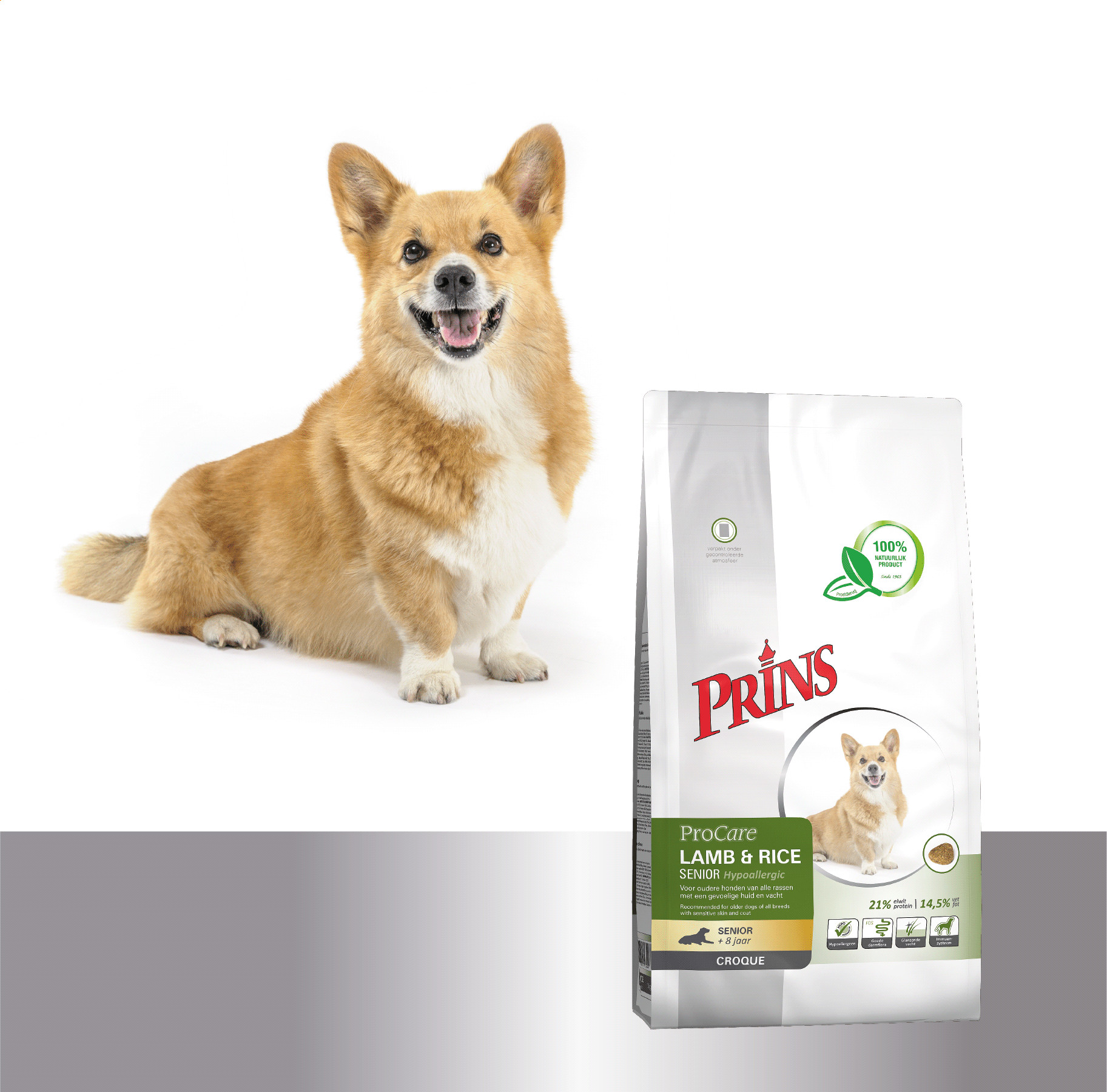 Prins ProCare Croque Lamm & Reis Senior Hypoallergic Hundefutter