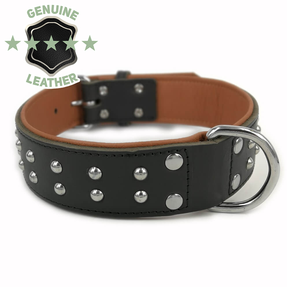 Weiches Lederhalsband Quasar Schwarz