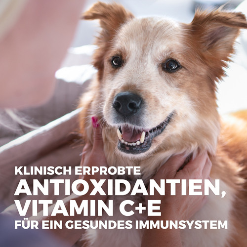 Hill's Adult Hypoallergenic nat hondenvoer met zalm