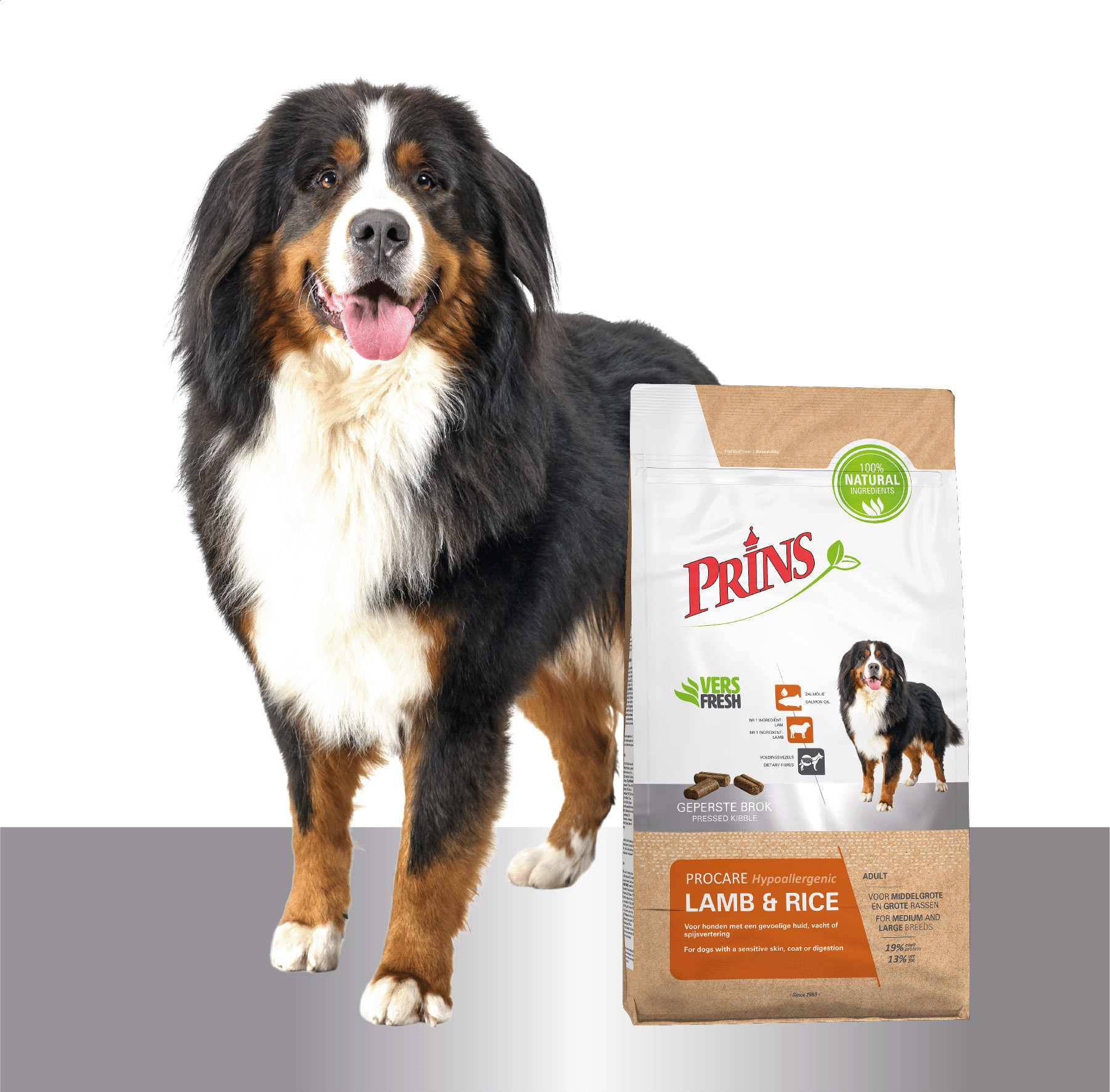 Prins ProCare Lamm & Reis Hypoallergen Hundefutter