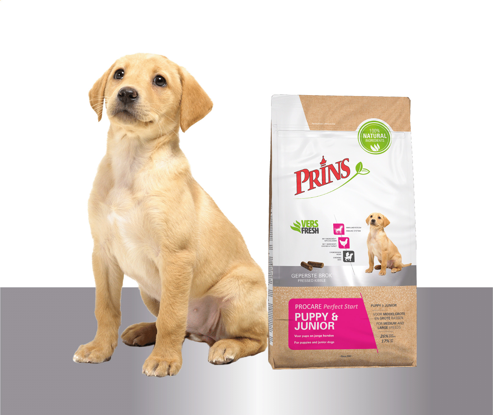 Prins ProCare Perfect Start Puppy & Junior Hundefutter