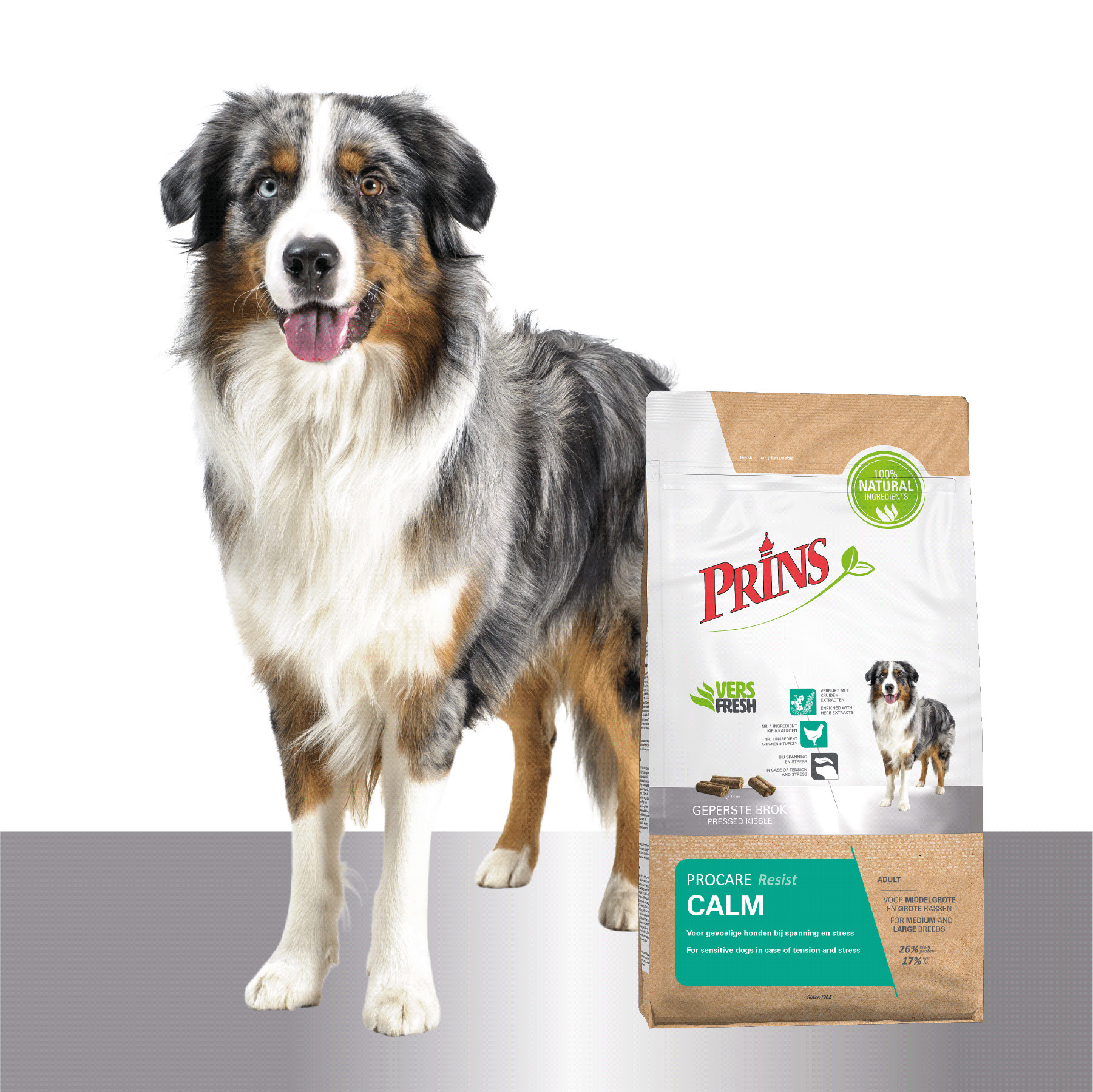 Prins ProCare Resist Hundefutter
