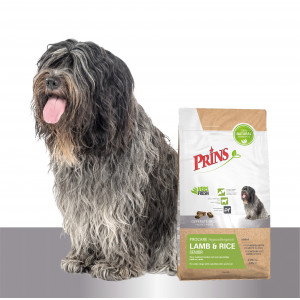 Prins ProCare Lamm & Reis Senior Hypoallergic Hundefutter