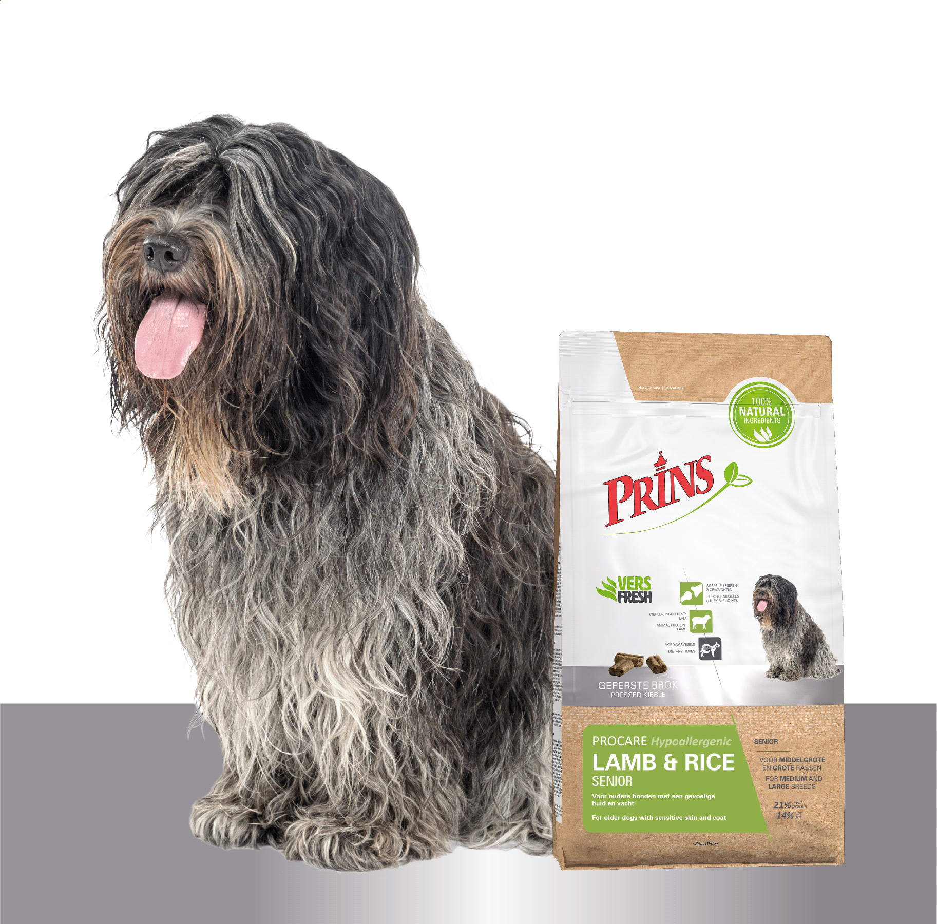 Prins ProCare Hypoallergenic Lamm & Reis Senior Hundefutter