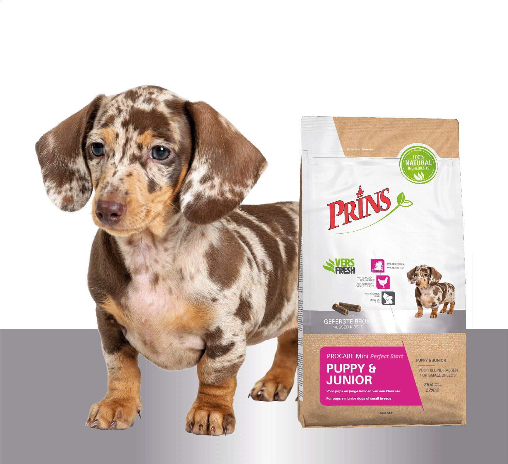 Prins ProCare Mini Puppy & Junior Hundefutter