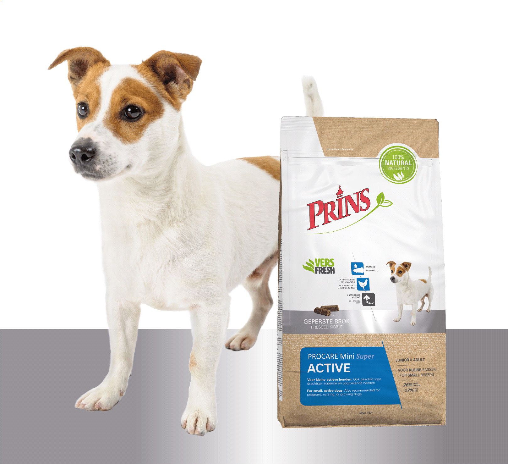 Prins ProCare Mini Super Active Hundefutter