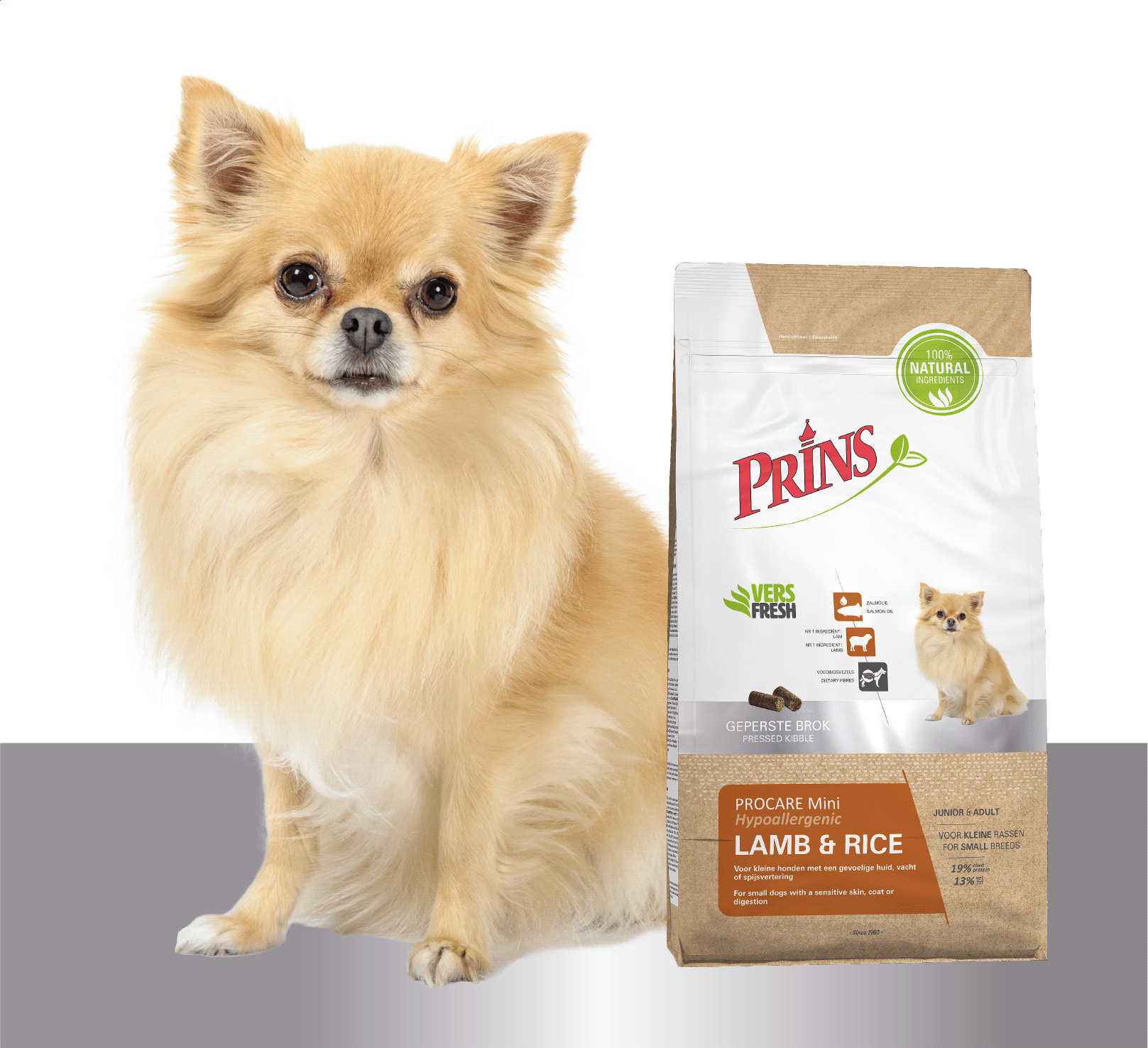 Prins ProCare Mini Lamm & Reis Hypoallergen Hundefutter