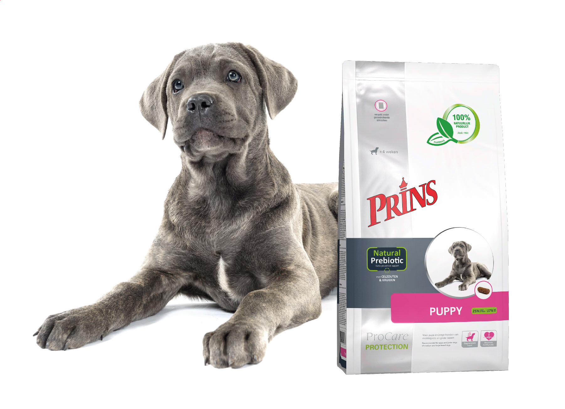 Prins ProCare Protection Puppy Hundefutter