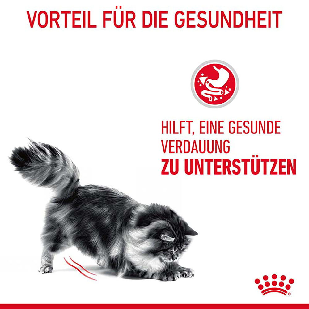 Royal Canin Digestive Care Katzenfutter