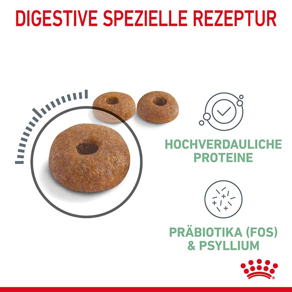 Royal Canin Digestive Care Katzenfutter