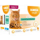 Iams Delights Senior Land & Meereskollektion in Sauce (12x85 gr)