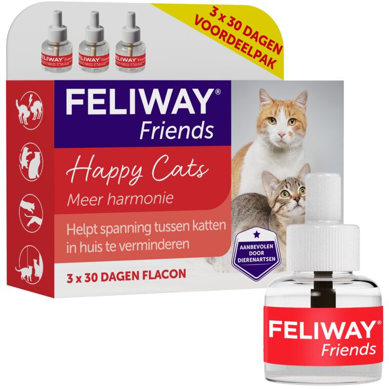 Feliway Friends Verdampfer für Katzen