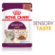 Royal Canin Sensory Taste Katzen-Nassfutter
