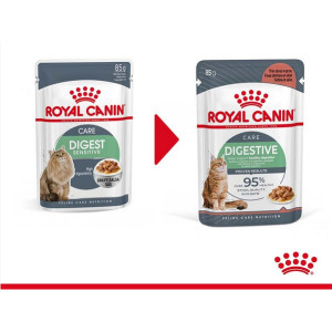 Royal Canin Digestive Care Katzen-Nassfutter (12x85 g)