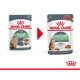 Royal Canin Digestive Care Katzen-Nassfutter (12x85 g)