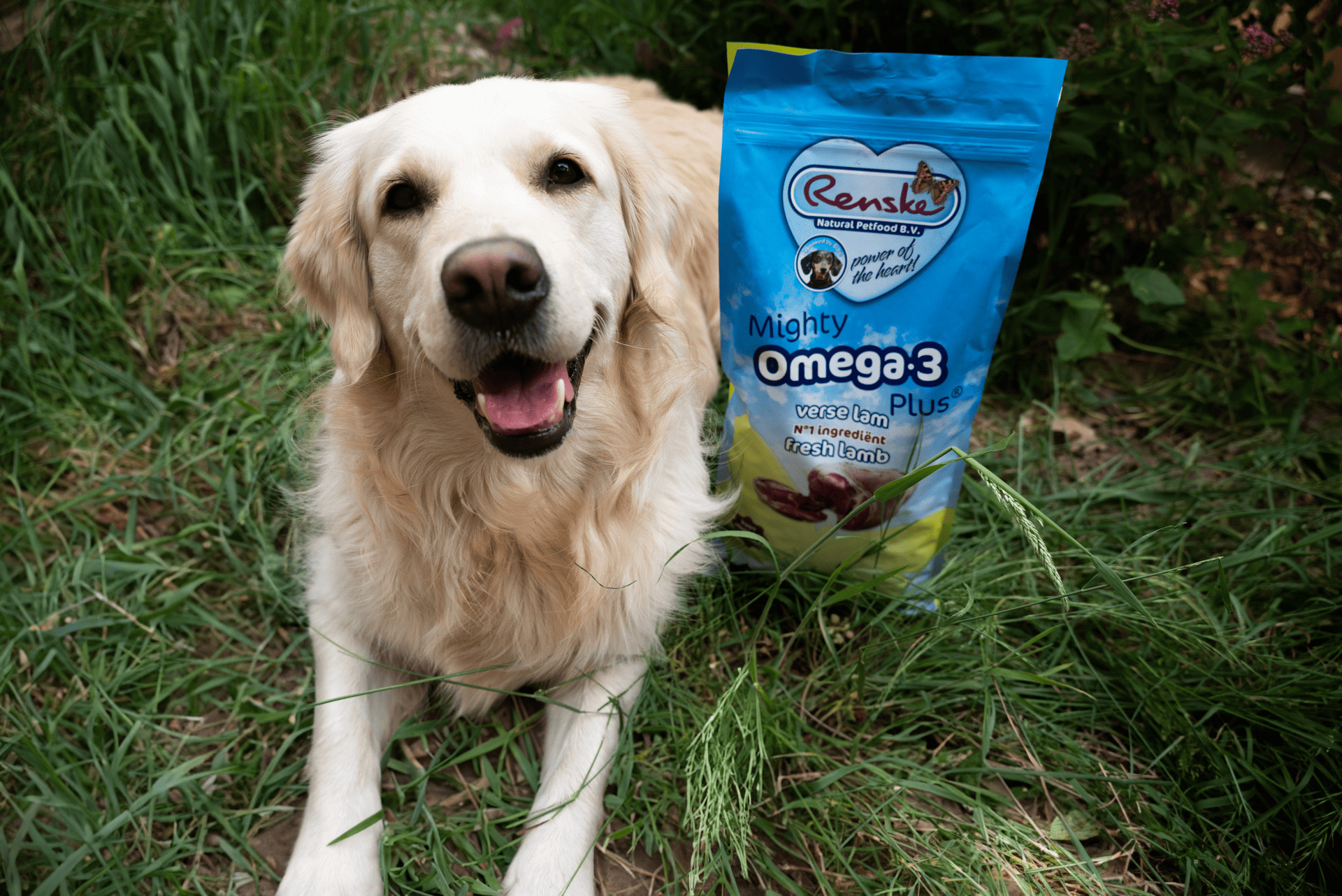 Renske Mighty Omega 3 Plus Junior Adult Lamm & Reis Hundefutter