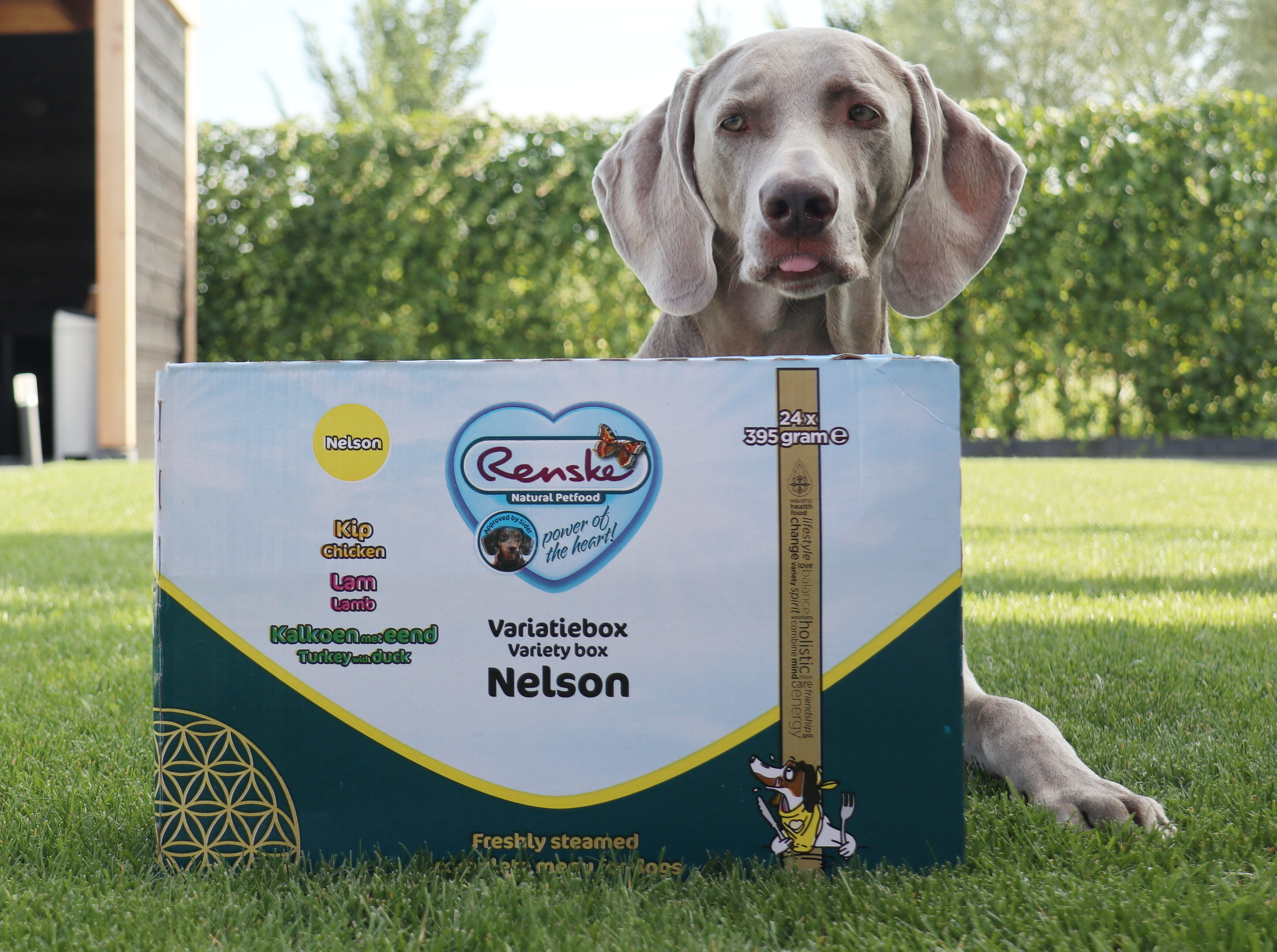 Renske Multipack Nelson Hundefutter (24 x 395 gr)