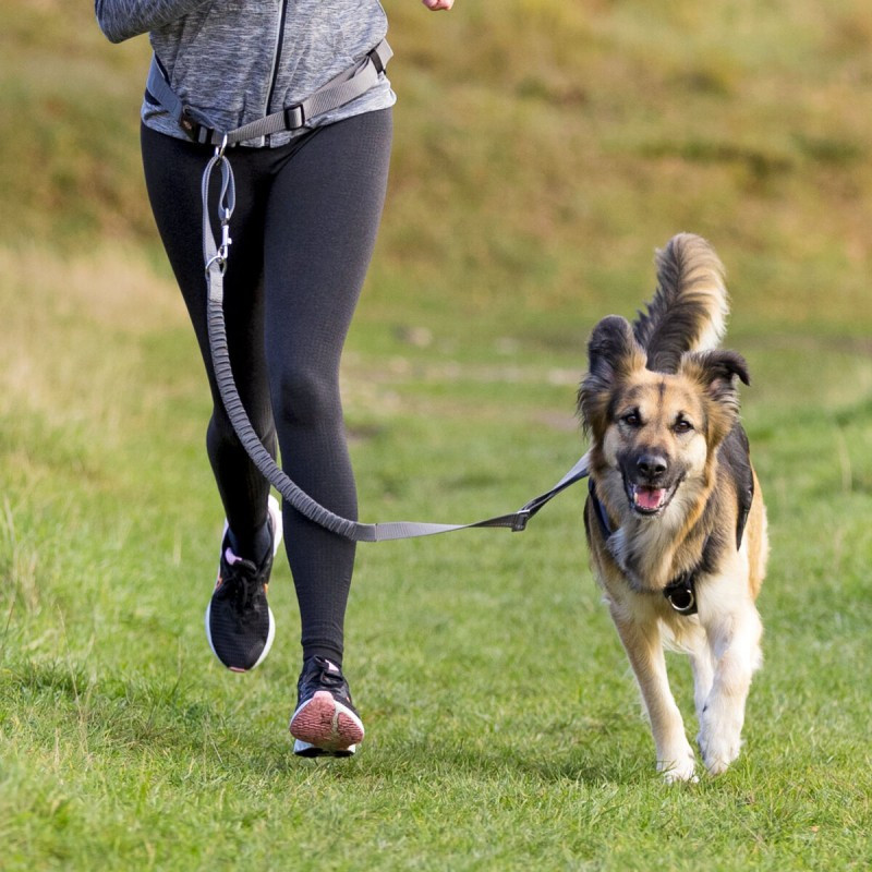 Jogging heupriem met lijn