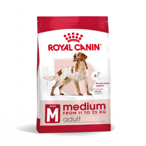 kratzbaum metall PAWZ Road Kaktus-Kratzbaum 102 cm