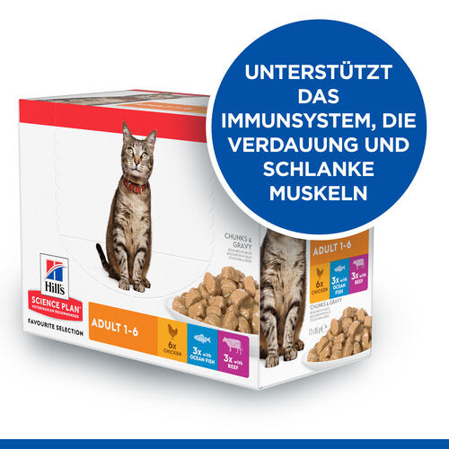 Hill's Adult Favourite Selection Multipack Katzen-Nassfutter 85 g