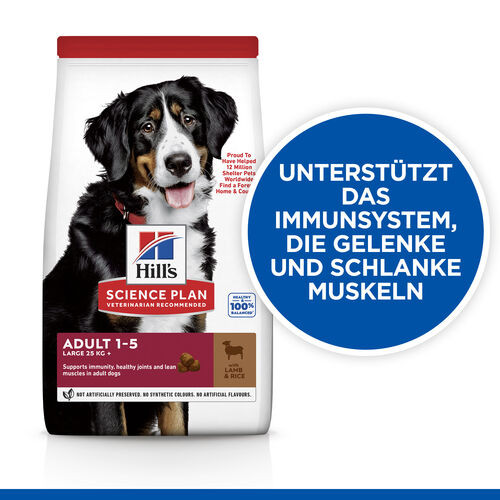 Hill's Adult Large Breed Lamm & Reis Hundefutter