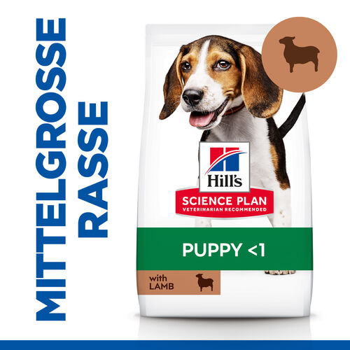 Hill's Puppy Medium Lamm & Reis Hundefutter