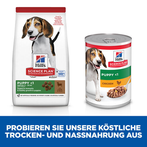 Hill's Puppy Medium Lamm & Reis Hundefutter