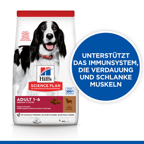 Hill's Adult Medium Lamm & Reis Hundefutter