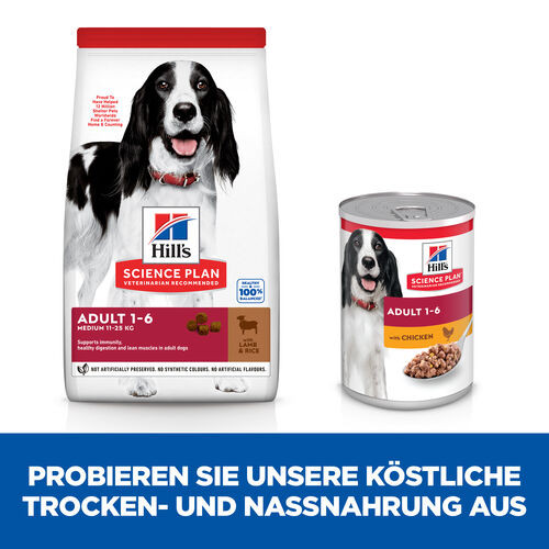 Hill's Adult Medium Lamm & Reis Hundefutter