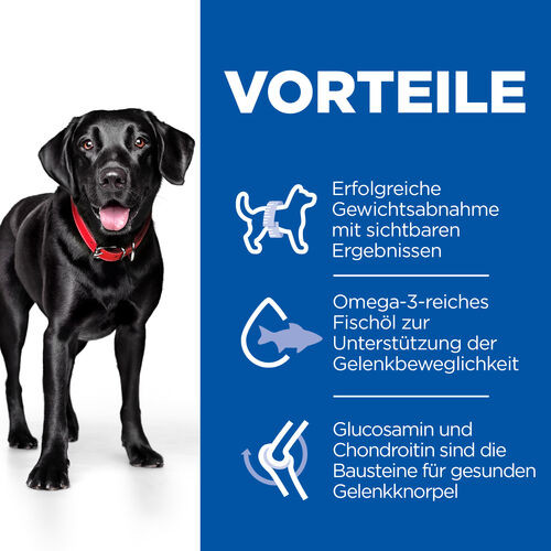 Hill's Adult Large Perfect Weight & Active Mobility mit Huhn Hundefutter
