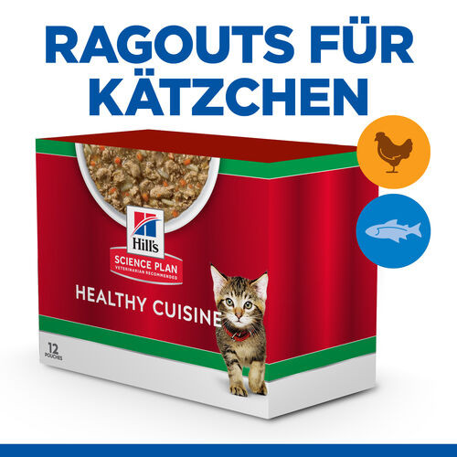 Hill's Healthy Cuisine Kitten Ragout mit Huhn & Gemüse, mit Meeresfisch & Gemüse Multipack