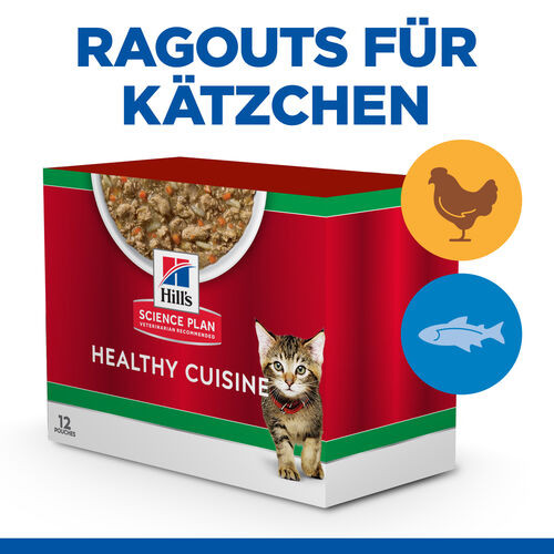 Hill's Healthy Cuisine Kitten Ragout mit Huhn & Gemüse, mit Meeresfisch & Gemüse Multipack