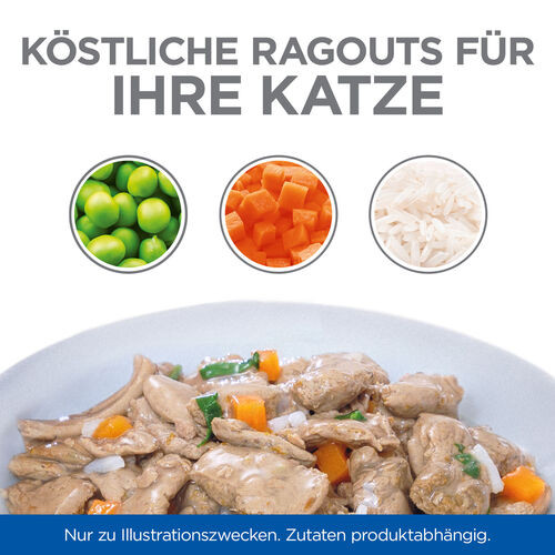 Hill's Healthy Cuisine Kitten Ragout mit Huhn & Gemüse, mit Meeresfisch & Gemüse Multipack