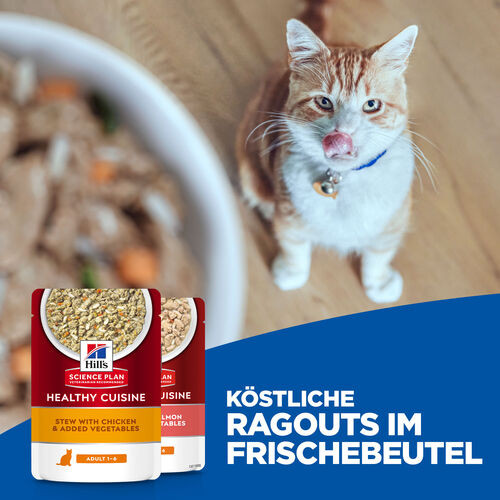 Hill's Healthy Cuisine Adult Sterilised Ragout mit Huhn & Gemüse, mit Lachs & Gemüse Multipack Katze