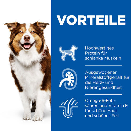 Hill's Mature Adult 7+ mit Huhn Hunde-Nassfutter (Dosen 370g)