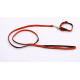 Nylon Halsband gefüttert mit Hundeleine 10 mm x 120 cm