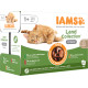 Iams Delights Adult Landkollektion in Sauce Nassfutter Katze (12x85 g)