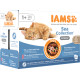 Iams Delights Adult Meereskollektion in Sauce Nassfutter Katze (12x85 g)