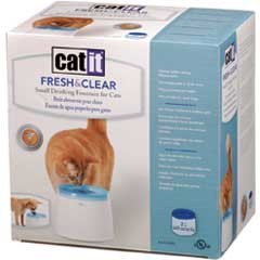 Cat It Drinking Fountain Klein