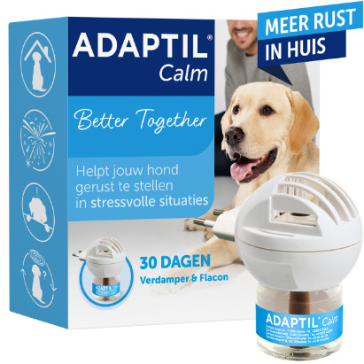 Adaptil Verdampfer für den Hund