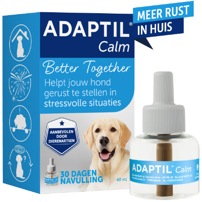 Adaptil Verdampfer für den Hund