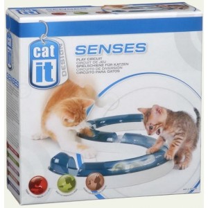 Cat It Senses Play Circuit
