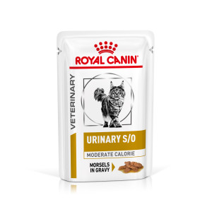 Royal Canin Veterinary Early Renal Nassfutter Für Katzen – 4x85 G, Zur Frühen Nierenunterstützung