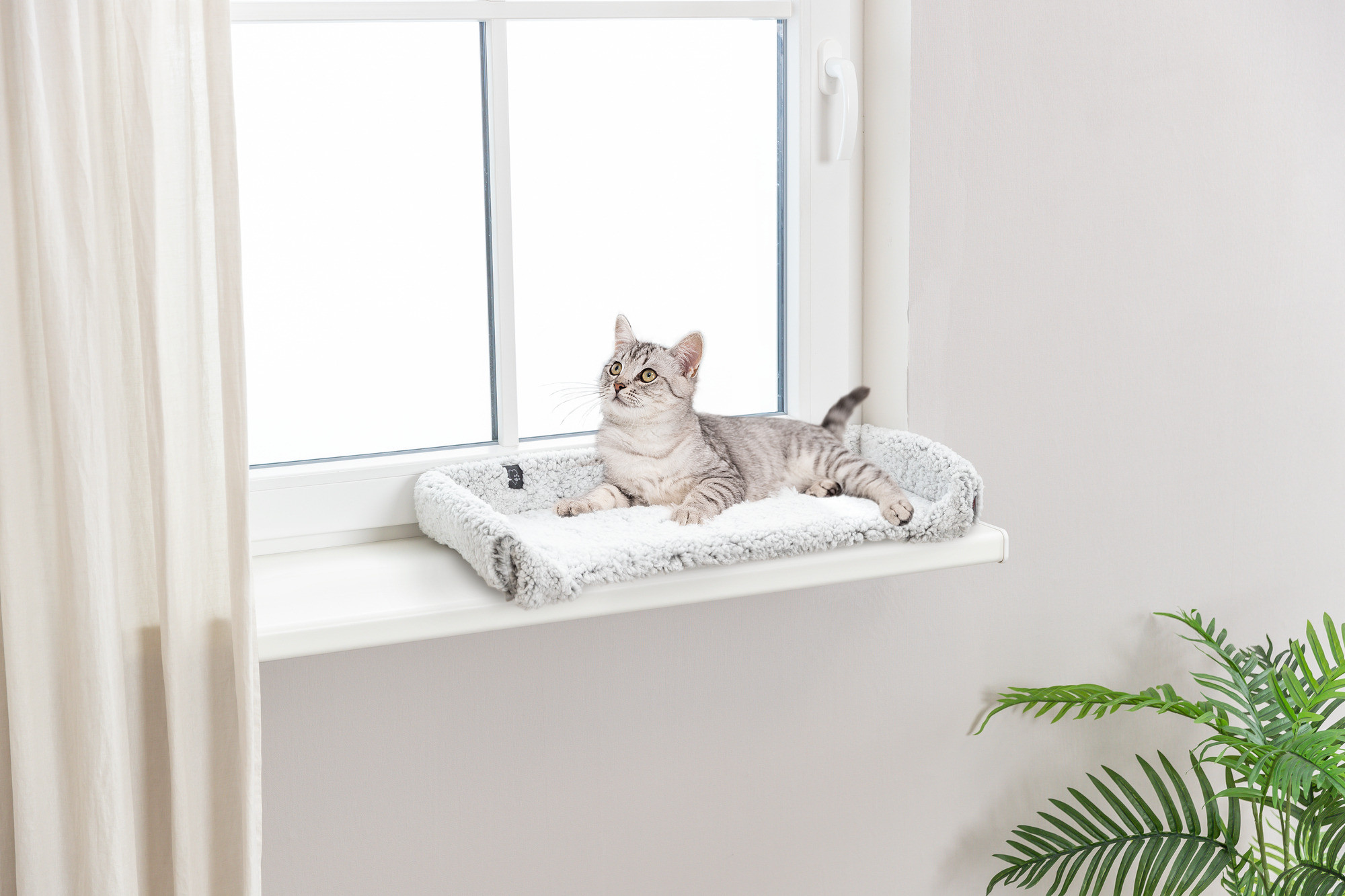 Trixie warmtereflecterende ligmat kat Calida voor vensterbank